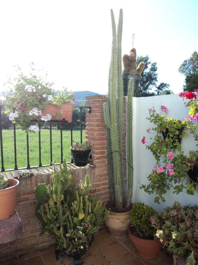 Apartamentos Las Juanas El Bosque Dış mekan fotoğraf